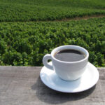 What Specialty Coffee Can Learn from Wine