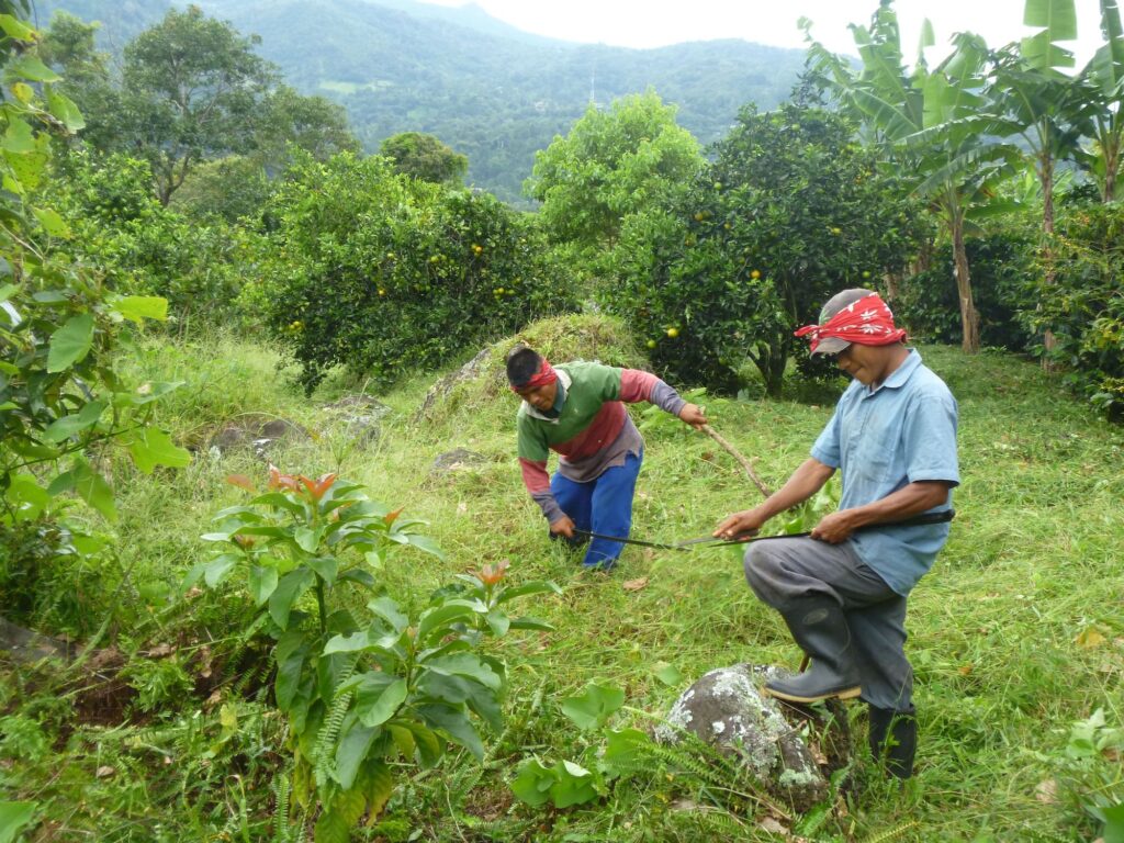 Coffee Pickers: Why We Should Care