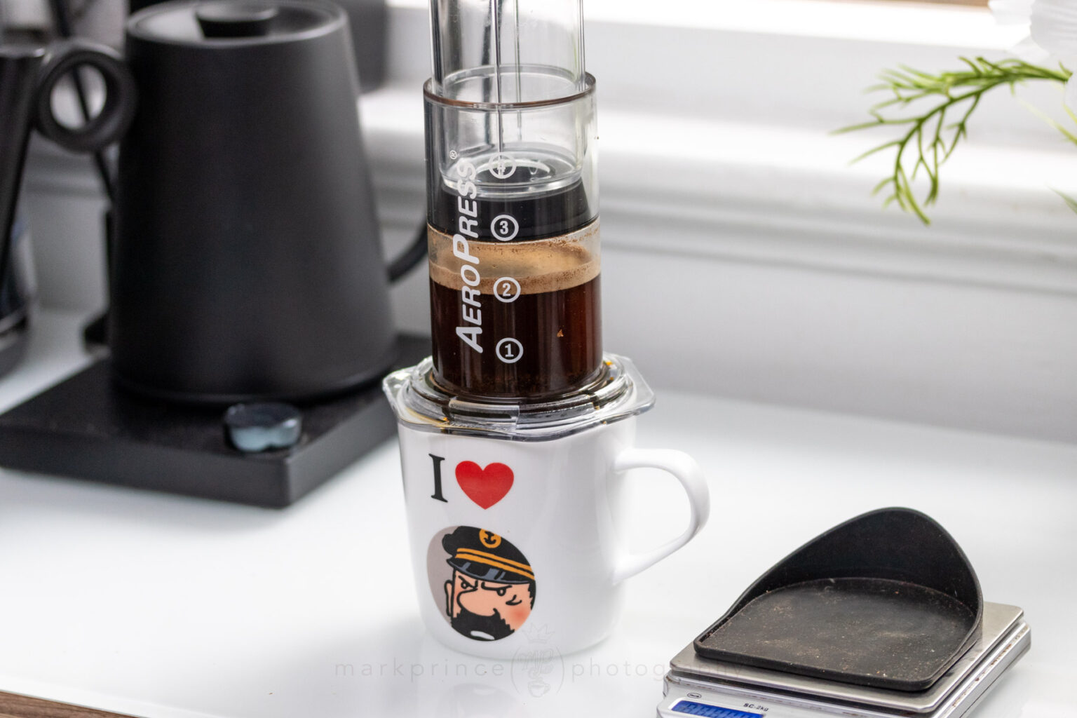 Brewing with the AeroPress