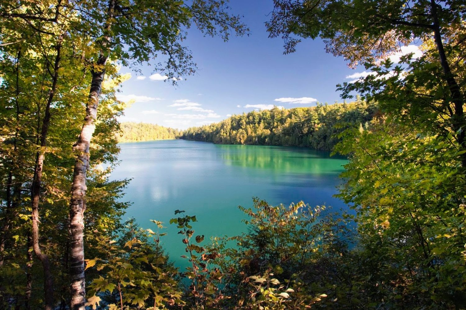 Pink Lake, through trees